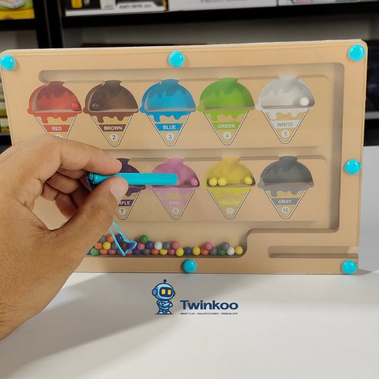 Jeu Montessori magnétique de tri des couleurs